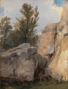 V lese ve Fontainebleau od Richard Parkes Bonington