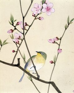 Bird - japonská kresba Riou Chim, konec 19. století od Riu Chim