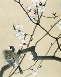 Bird - japonská kresba Riou Chim, konec 19. století od Riu Chim
