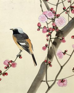 Bird - japonská kresba Riou Chim, konec 19. století od Riu Chim
