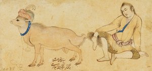Studie mladého muže a berana, 1630-31 nebo později