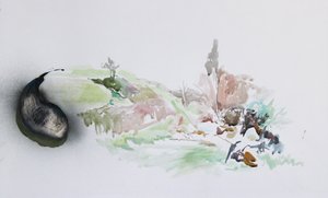 Mucholapka, 2015 (akvarel) od Rob D Davies