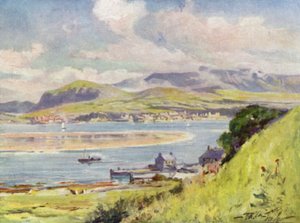 Carnarvon, z Anglesey (barva litho) od Robert (after) Fowler