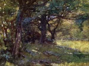 V lese, Berwyn (barva lito)