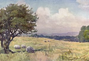 Sunny Field, poblíž Llanberis (barva litho) od Robert (after) Fowler
