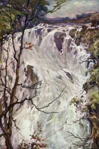 Swallow Falls, Bettws-y-Coed (barevné lito) od Robert (after) Fowler