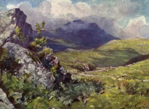 Pohled na Moelwyn (barevné lito) od Robert (after) Fowler