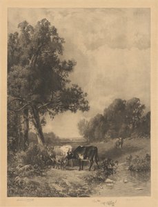 Untitled (krávy a telata proudem) od Robert A. Eichelberger