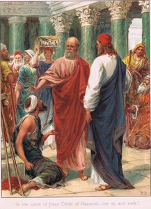 Ilustrace z 