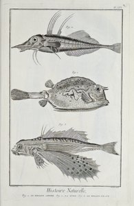 Ilustrace z knihy „Sbírka desek, o vědách, svobodných uměních a mechanických uměních s jejich vysvětlením“ od Denise Diderota od Robert Benard