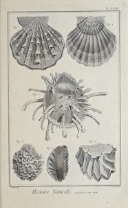 Ilustrace z knihy „Sbírka desek, o vědách, svobodných uměních a mechanických uměních s jejich vysvětlením“ od Denise Diderota od Robert Benard