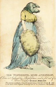 Dáma s prasečí tváří, známá v Londýně kolem roku 1815.