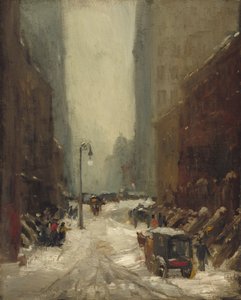 Sníh v New Yorku, 1902