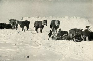 Poníci za svým úkrytem v táboře na bariéře, 1911, 1913