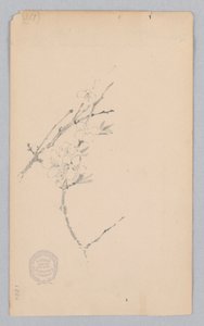 Větev od Robert Frederick Blum