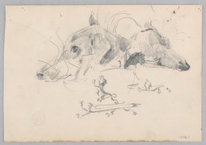 Pes a lev od Robert Frederick Blum