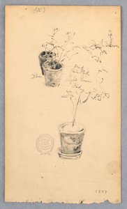 Kresba, Květináče, 1877 od Robert Frederick Blum