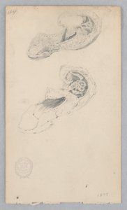 Bota od Robert Frederick Blum