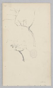 Strom od Robert Frederick Blum