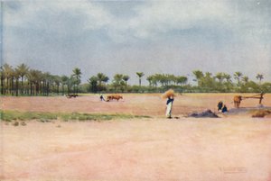Esbet-El-Ekiad - Země Gošen, c1880, 1904