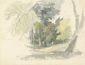 Woodland Glade od Robert Hills