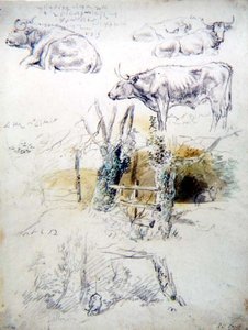 Studie skotu od Robert Hills