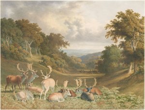  od Robert Hills