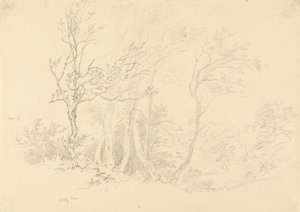 Studie cesmíny od Robert Hills