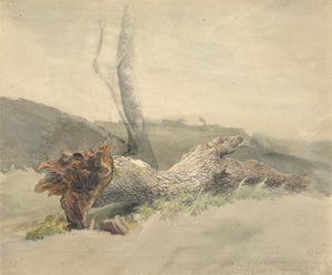 Padlý strom od Robert Hills