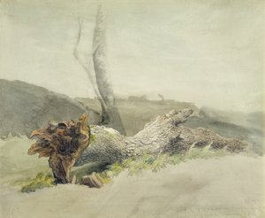 The Fallen Tree, c.1804 (wc přes grafit na tkaném papíře)