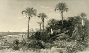 „Na pobřeží Floridy“, 1872.