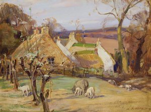 Farma Swanston