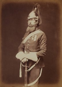 Seržant-major Bailey, 1. královská dragounská garda