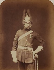 Seržant-major Stewart, 5. dragounská garda (princezna Charlotte z Walesu) od Robert Howlett