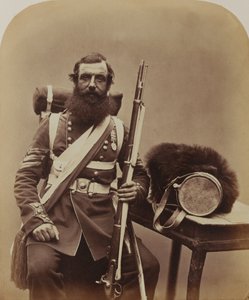 Seržant Knapp, Coldstream Guards od Robert Howlett