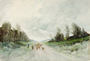Northumberland Road (wc na papíře) od Robert J. Hewitt