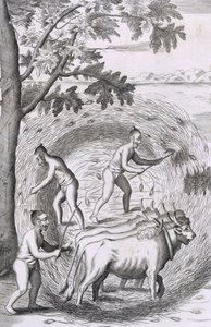 Způsob šlapání jejich rýže, hospoda. 1681. od Robert Knox
