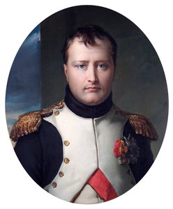 Portrét Napoleona Bonaparta, 19. století