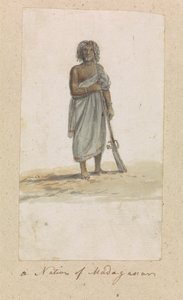 Rodák z Madagaskaru od Robert Mabon