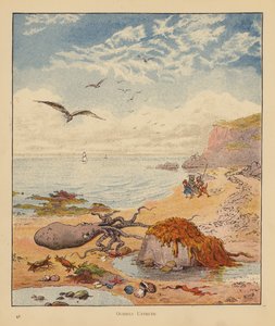 The Kitten Pilgrims: Octopus Untruth (barva lito) od Robert Michael Ballantyne