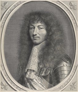 Portrét Ludvíka XIV