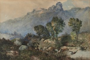 Krajina s divokými kachnami od Robert Scott Temple