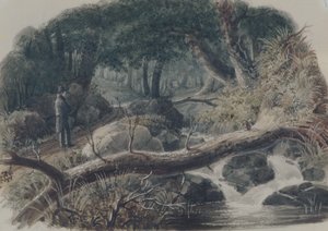  od Robert Walter Weir