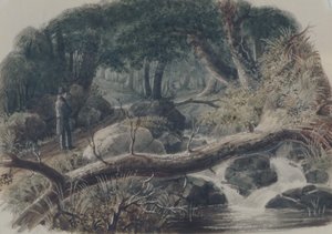Vchod do lesa, 1836.