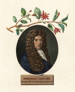 Portrét Nehemiáše Grewa, lékaře a botanika. 1809 (rytina)