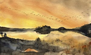  od RodMacIver