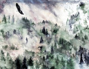 Orel z Misty Mountain od RodMacIver