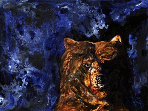 Průrazný pohled grizzlyho od RodMacIver