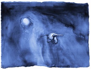 Solo Migration – Lumaprints od RodMacIver