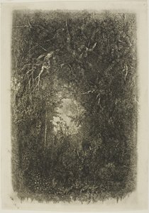 Mýtina v lese od Rodolphe Bresdin